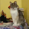 Отзыв от Вероника Андреева